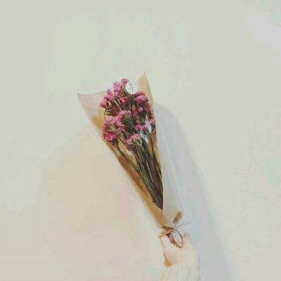 仙宫狂暴bt版下载